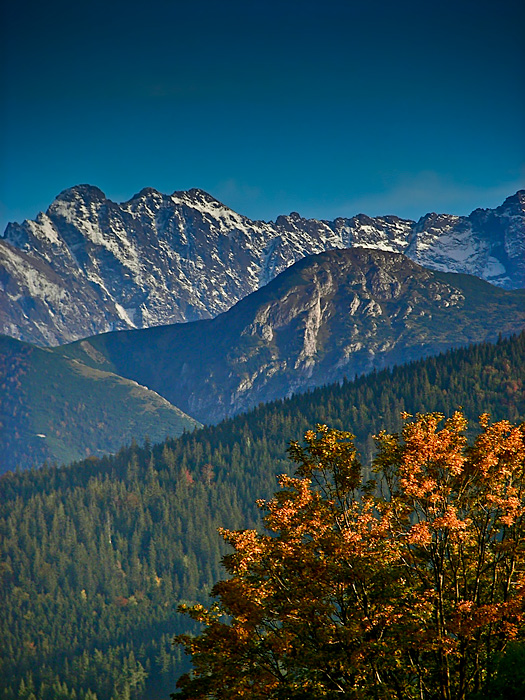 Afternoon in the mountains