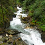Forest and river 08 stock