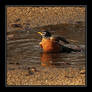 Puddle Bath