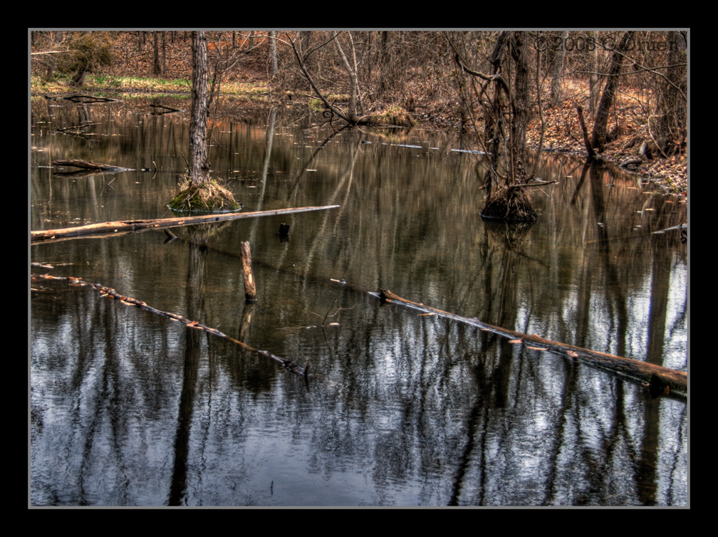 A Pond