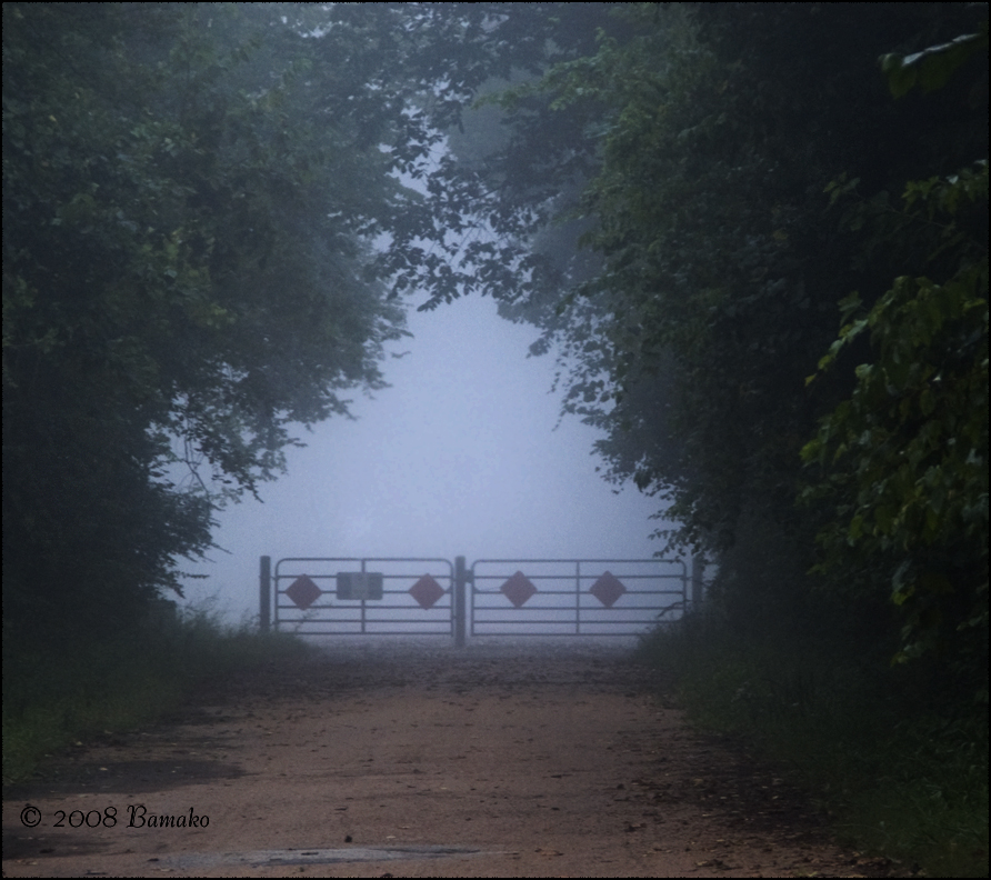 Fog Gate