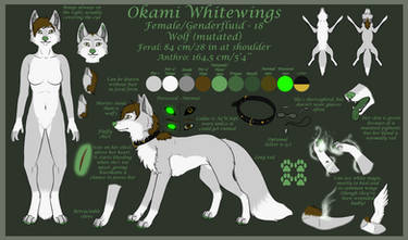 Okami Reference 2014