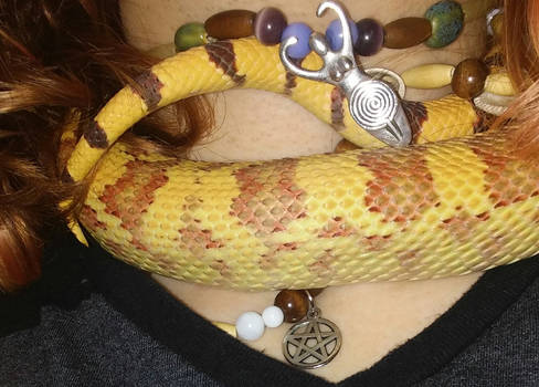 snake scales and pretty things