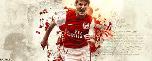 Sign Arshavin