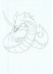 Dragon type : Wurm