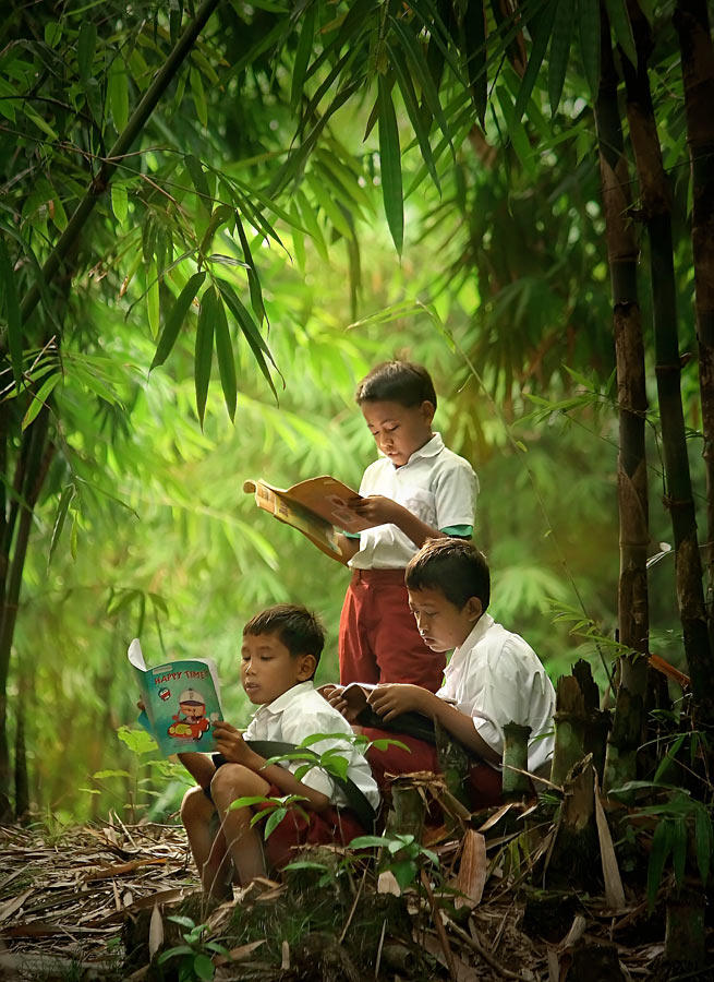 nature class by anggalanell on DeviantArt