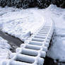 snow tracks