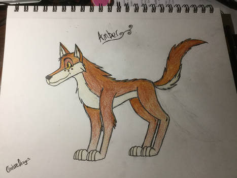 Amber the wolf