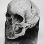 Ink Skull