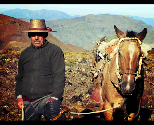 old Chilean cowboy