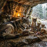 A beautiful young wolf and gorgeous guests.