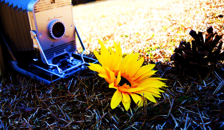 Flashback Photography Examples Flashback Photography by LOVESTRUCKWANNABE on DeviantArt