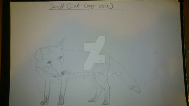 Creature with J: Jerff (dog-fox-cat)