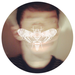 mothman