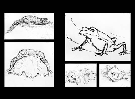 Aquarium Sketches