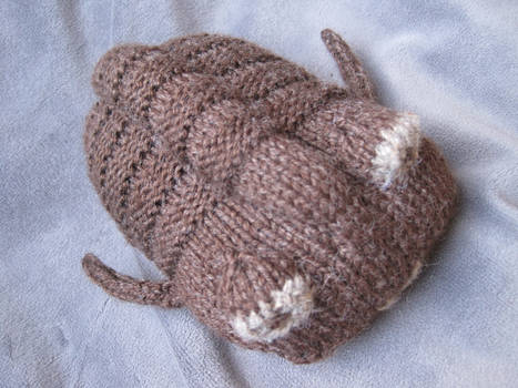 Knitted Trilobite