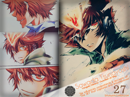 HDW - Sawada Tsunayoshi