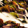 Go with the Flow