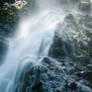 The Boyana Waterfall