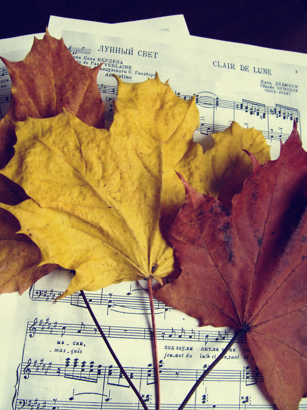 music of autumn 3/4
