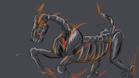 Horse Skeletal Sketch