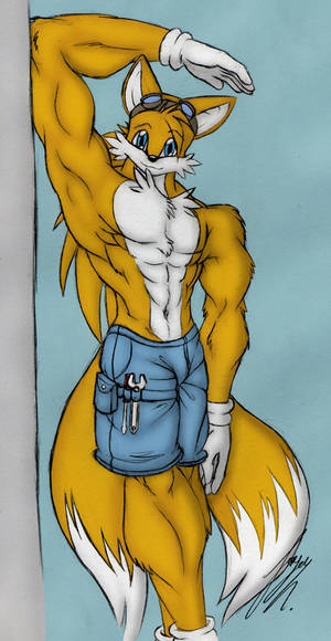 - Miles Tails 'Power' -