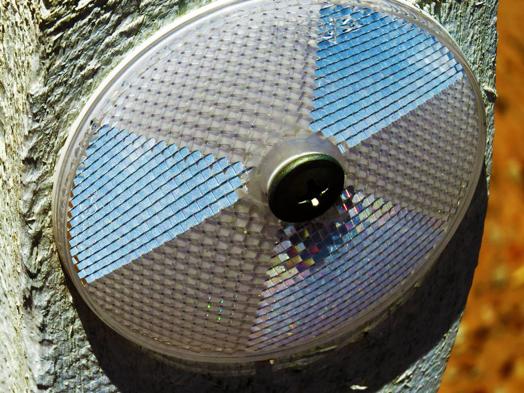 Reflector post by MissBexyDust on DeviantArt