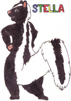 Stella the skunk