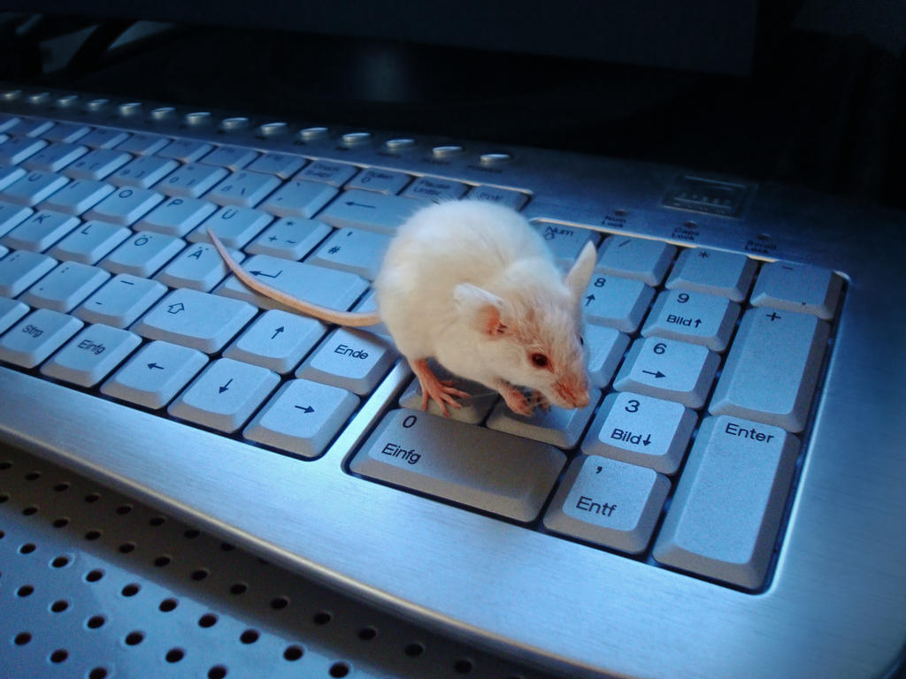 Computer Mouse by Risen-From-The-Ruins on DeviantArt