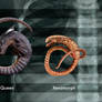 Yautja Size Chart - Expanded Universe by Risen-From-The-Ruins on DeviantArt