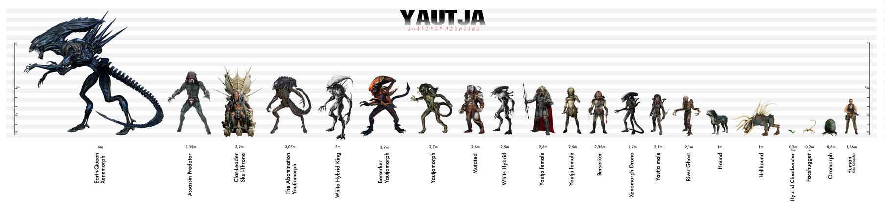 Yautja Size Chart - Expanded Universe by Risen-From-The-Ruins on DeviantArt