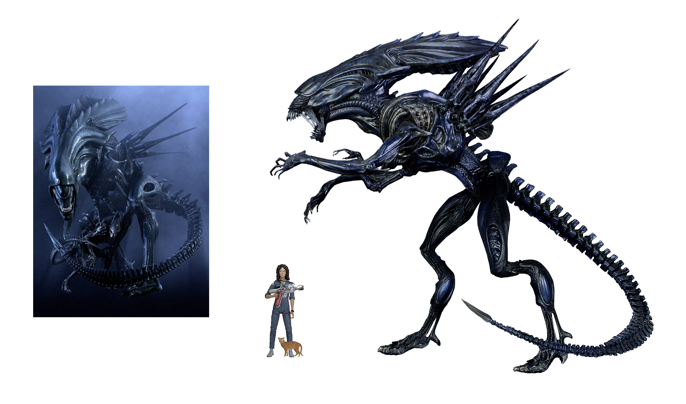 Earth Queen Xenomorph