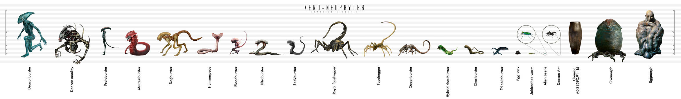 Xeno-Neophytes - Expanded Universe by Risen-From-The-Ruins on DeviantArt