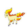 Daily Pokemon 77 - Ponyta