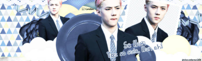 CV Sehun by Camidore