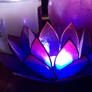 blue lotus