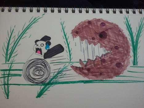 Panda eating..Cookie?