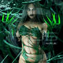 Don't Get Caught In My Web
