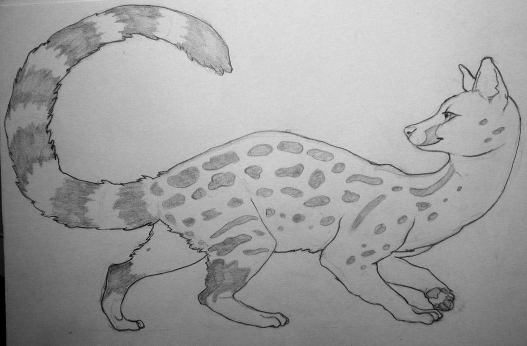 Genet sketch by aletia on DeviantArt