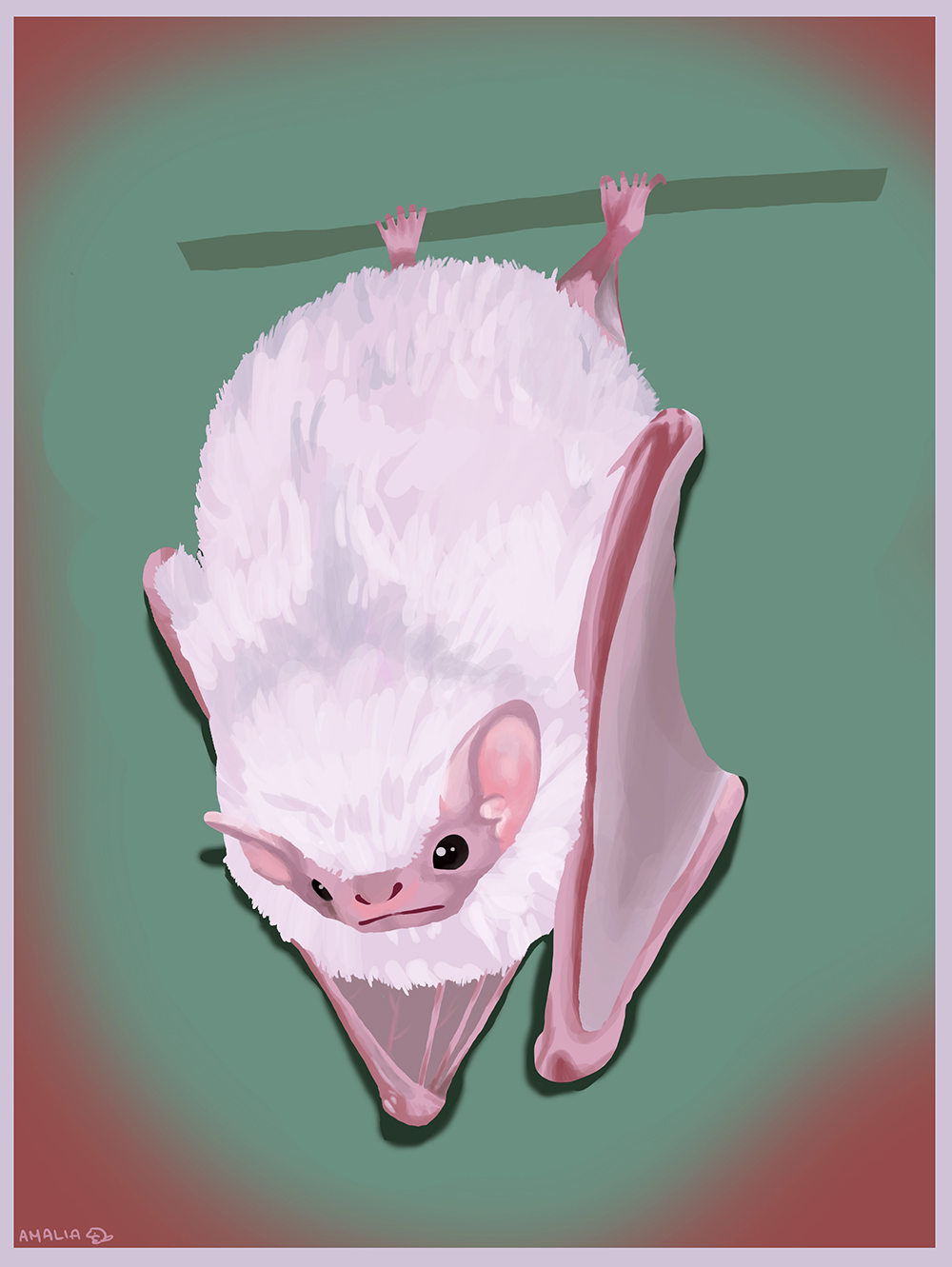 Bat study