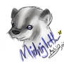 Midnight the Badger