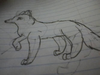 ramdumb wolf drawling