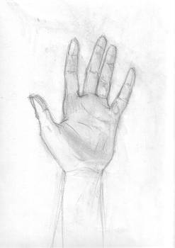 Hand Study