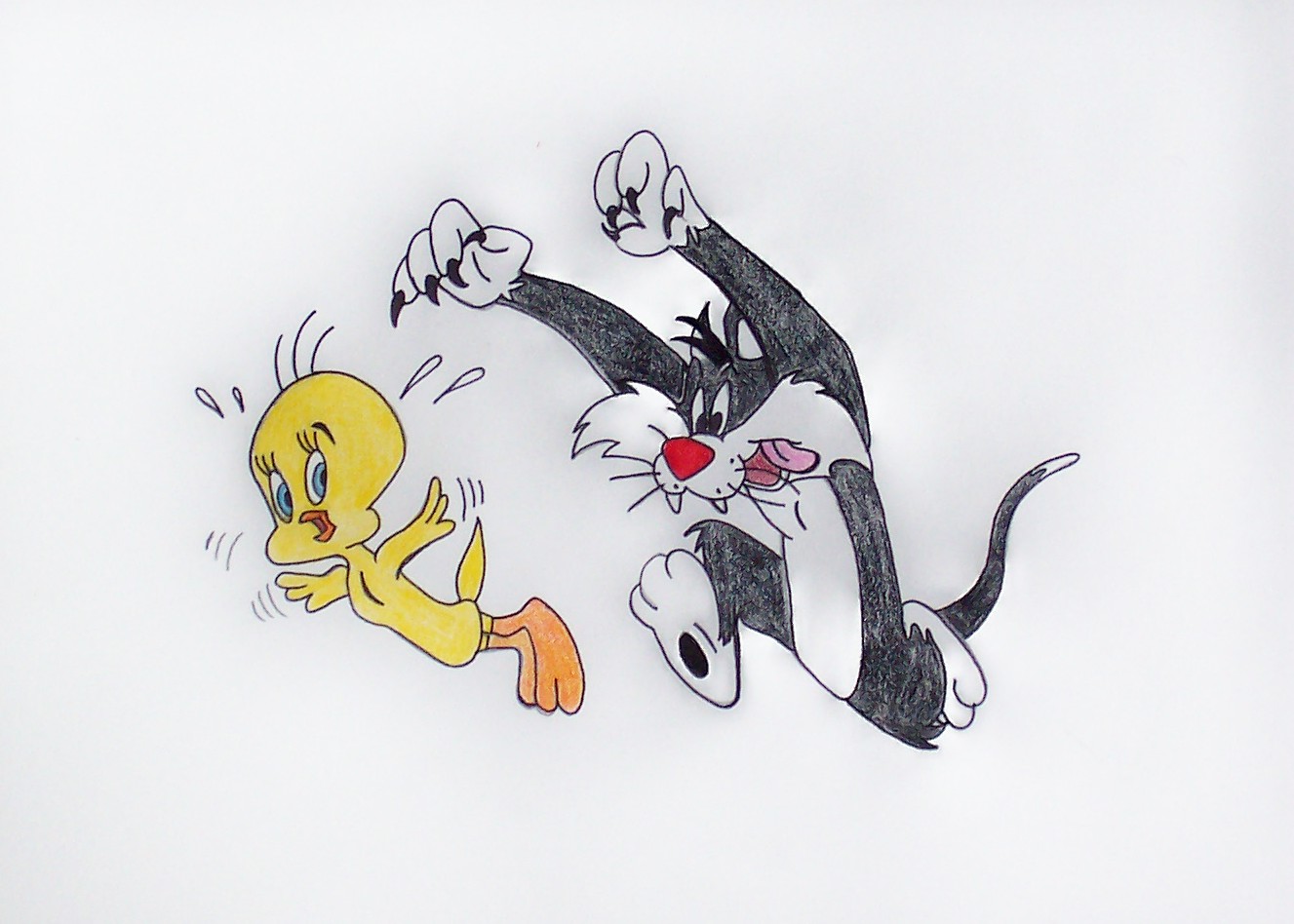 Sylvester and Tweety:The Chase