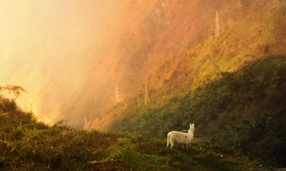 Afternoon in Peru