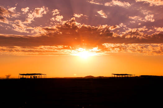 Meeting at sunset