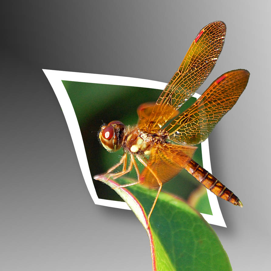 2nd Out of Bounds work by AnniesGoneCrazyAgain on DeviantArt