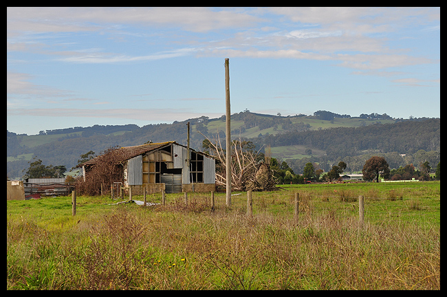 Farm life