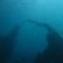 Shipwreck 3
