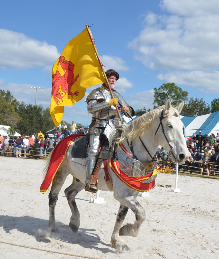 Jousting 3